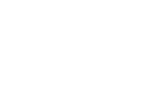 newyorker-light